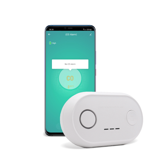 Pametni dom - Detektor oglikovega monoksida - Chameleon Smart Home