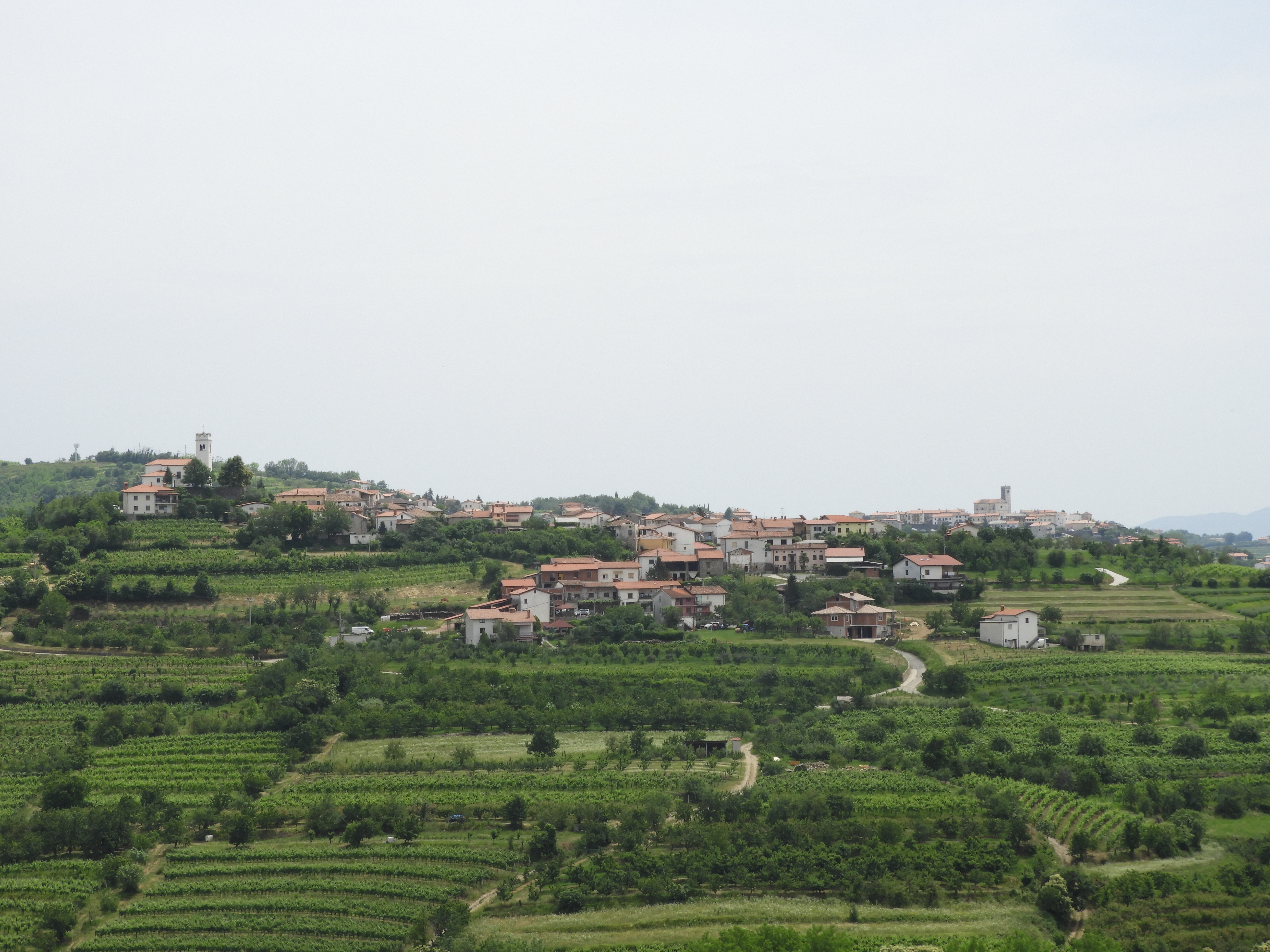 kam v goriških brdih